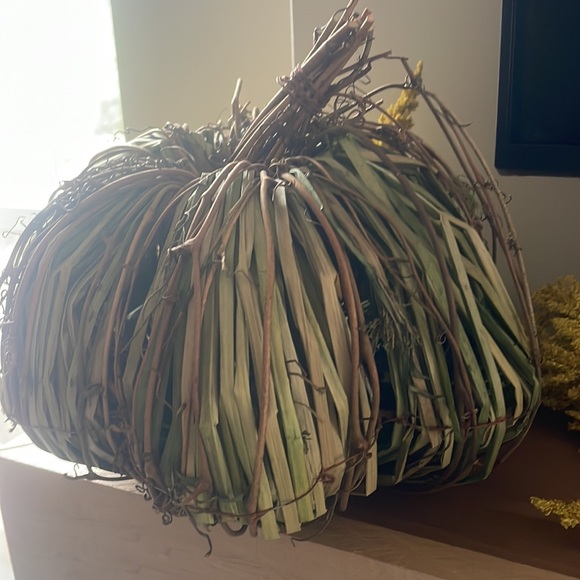 Pumpkin - Picture 2 of 2